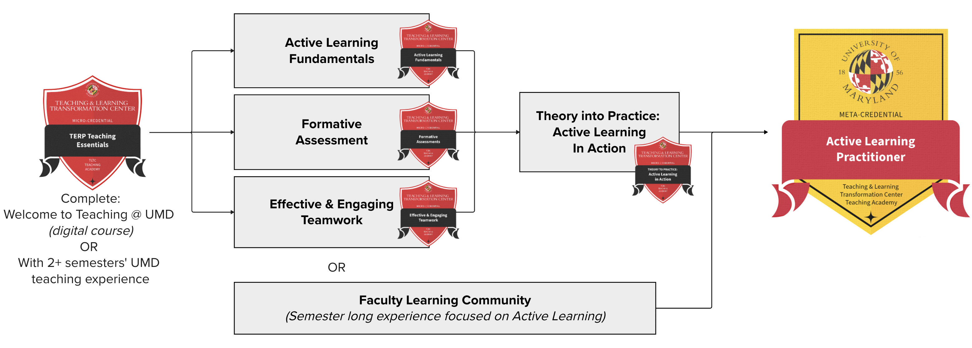 An instructor learning community on Active Learning or self-paced digital courses with material review.