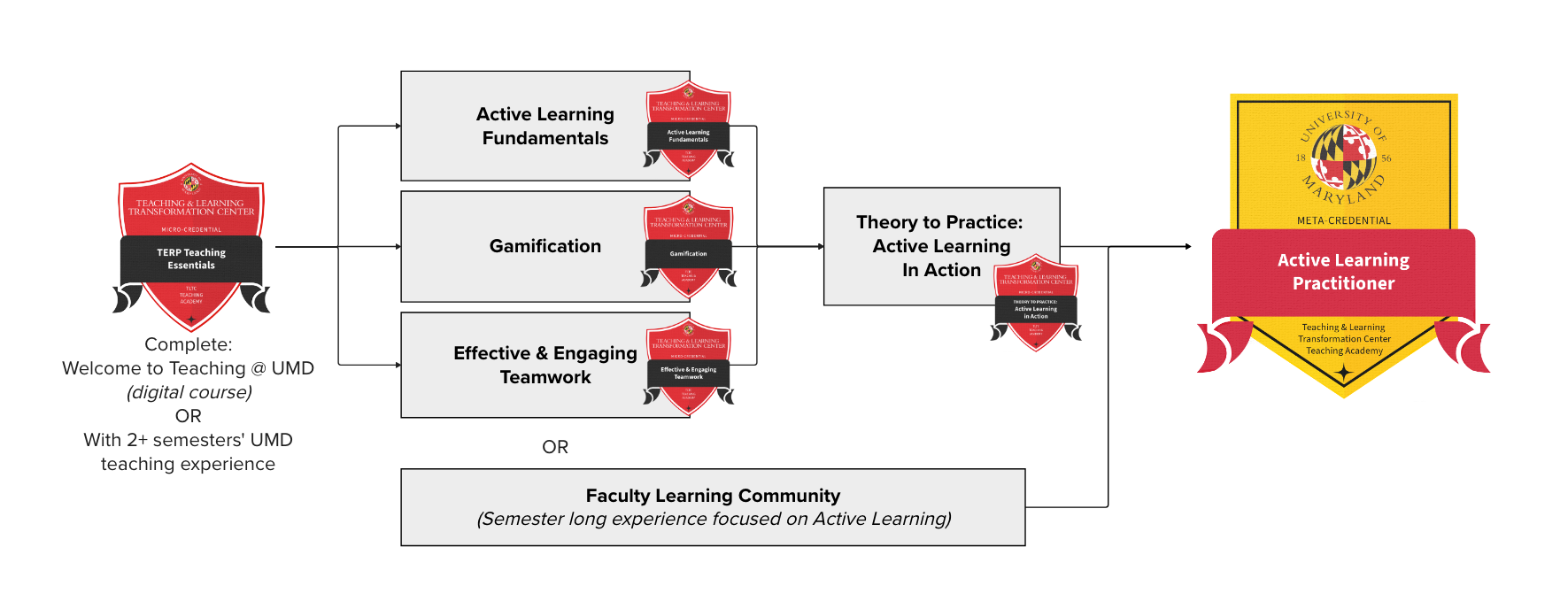 Pathway to earn your Active Learning Practitioner Meta-credential.