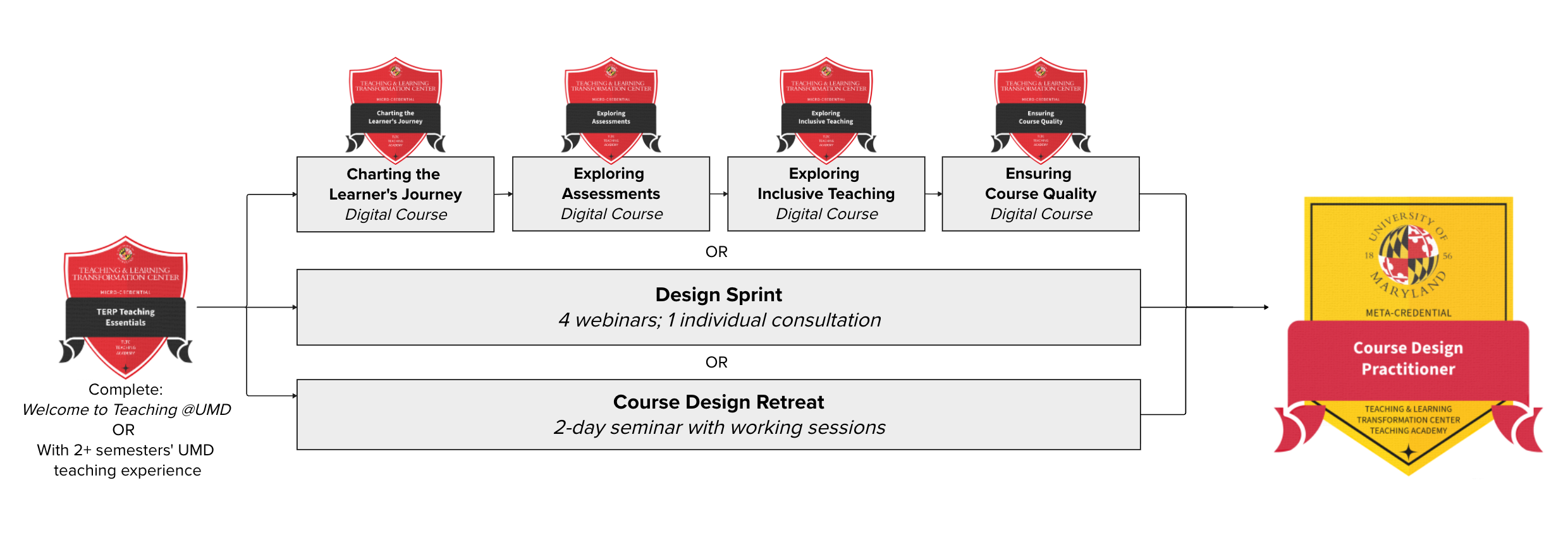 Pathway to receive the Course Design Practitioner meta-credential.
