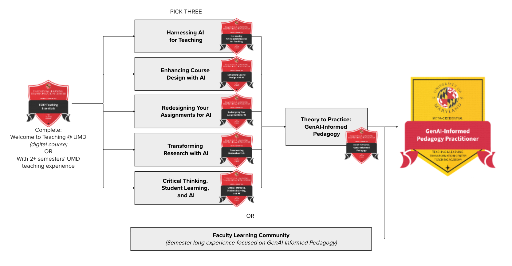 Pathway to receive GenAI-Informed Pedagogy Practitioner meta-credential
