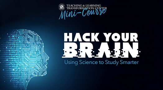 Hack Your Brain Mini-Course