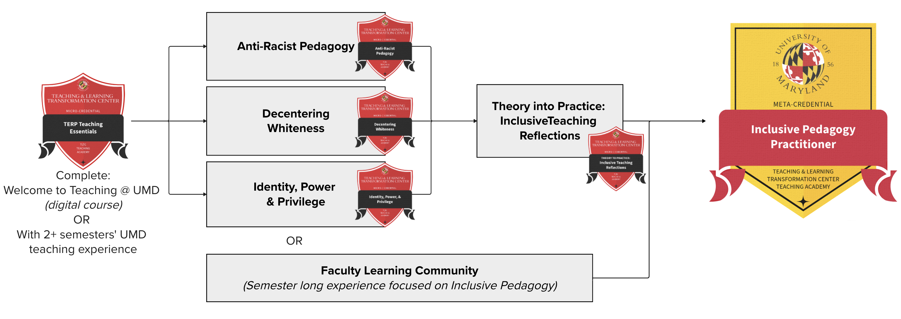 A diagram presenting two options: flexible training series with reflection, or multi-session Learning Community on Inclusive Pedagogy.