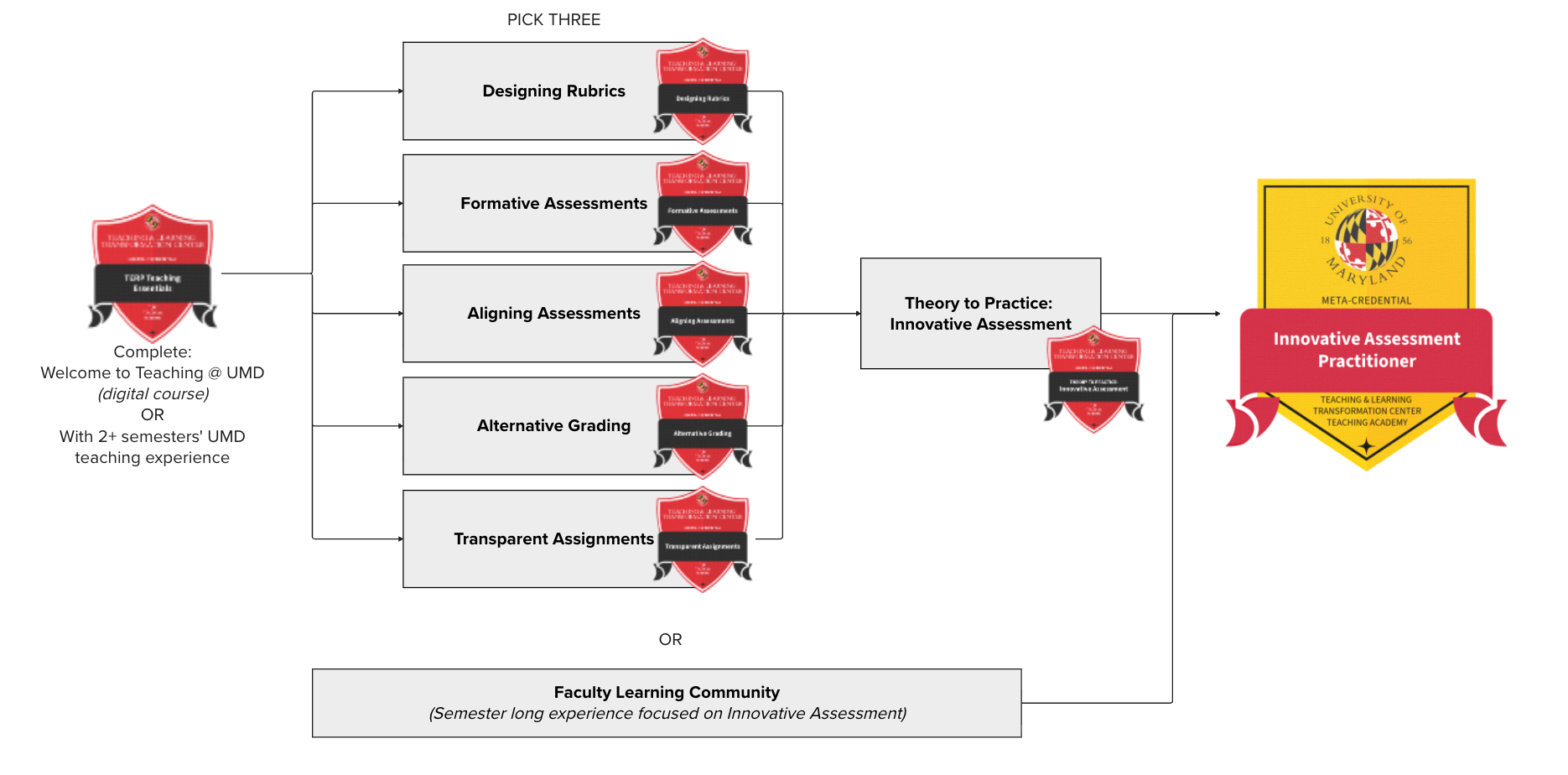 Pathway to earn Innovative Assessment practitioner