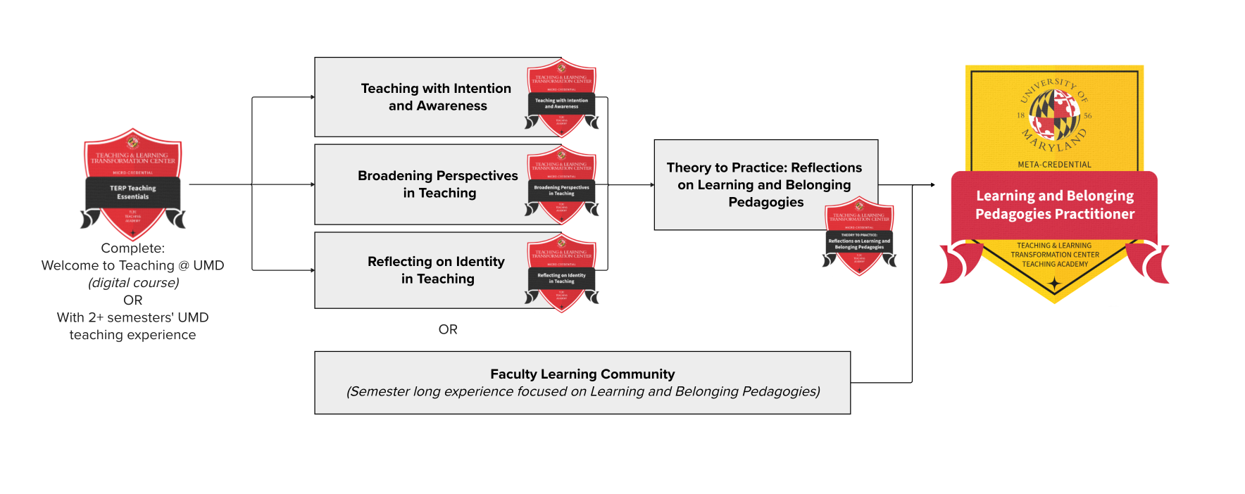 Pathway to receive the Learning and Belonging Pedagogies Practitioner meta-credential.