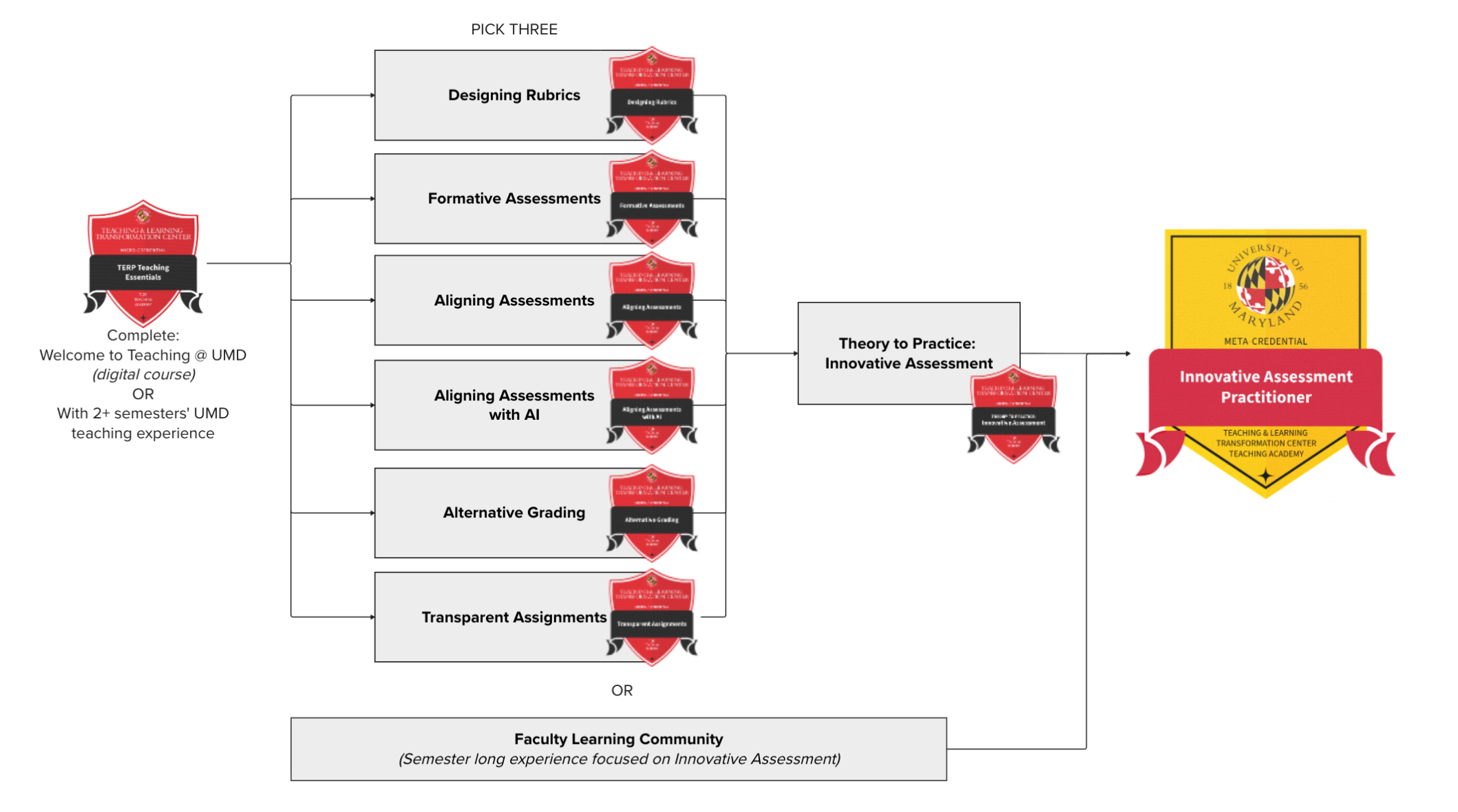 Pathway to receive the Innovative Assessment Practitioner meta-credential badge