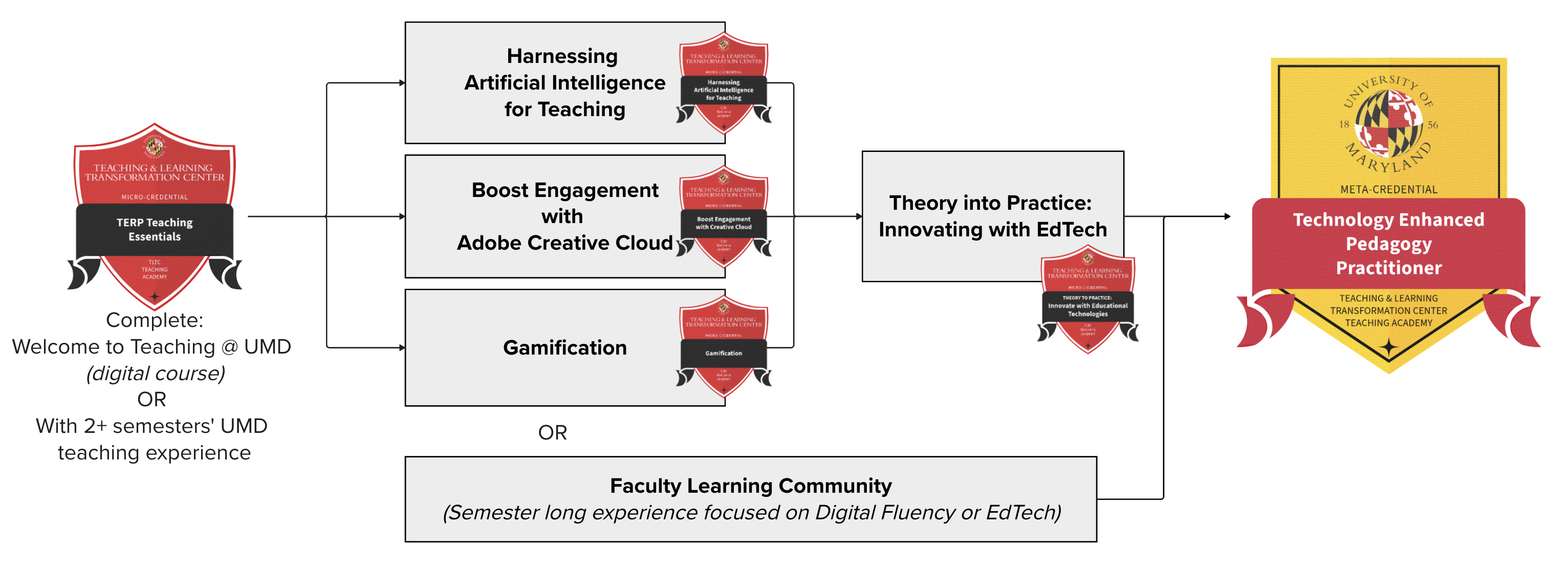 A diagram presenting two options: flexible training series with innovation project, or multi-session Learning Community on EdTech/Digital Fluency.