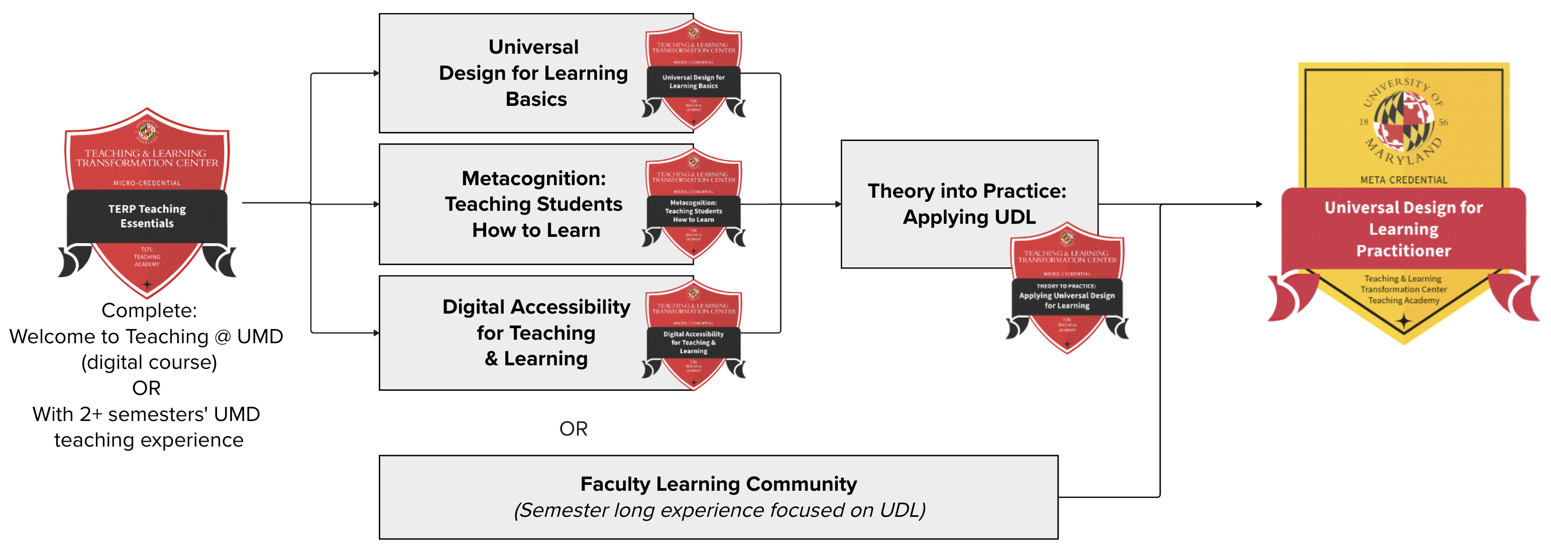 A diagram presenting two options: flexible training series with innovation project, or multi-session Learning Community on Universal Design for Learning.