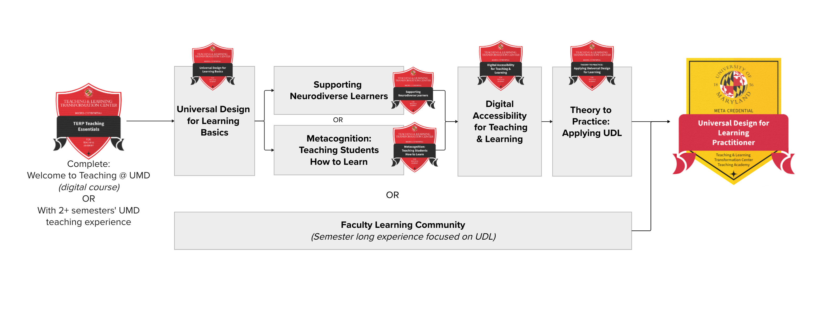 Pathway to receive the Universal Design for Learning Practitioner meta-credential