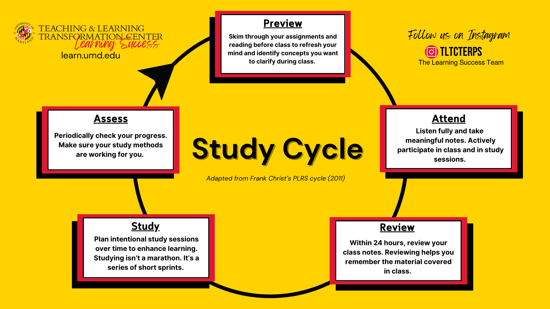 Study Cycle 